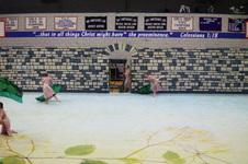 Enlarge photo 318