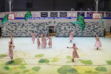 Enlarge photo 392