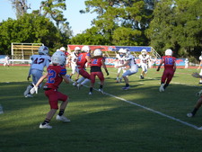 Enlarge photo 25