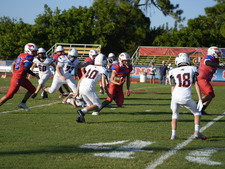 Enlarge photo 46