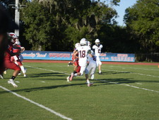Enlarge photo 58