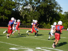 Enlarge photo 61