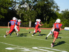 Enlarge photo 62