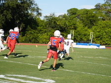 Enlarge photo 66