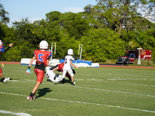 Enlarge photo 69