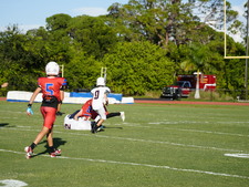 Enlarge photo 70