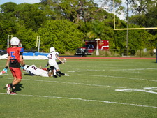 Enlarge photo 72