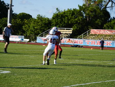 Enlarge photo 77