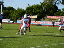Enlarge photo 79