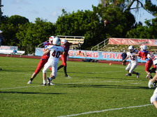 Enlarge photo 80