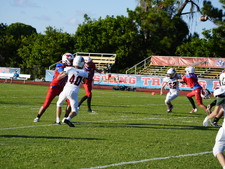Enlarge photo 84