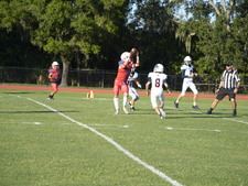 Enlarge photo 86