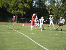 Enlarge photo 87