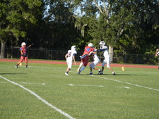 Enlarge photo 93