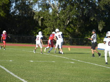 Enlarge photo 97