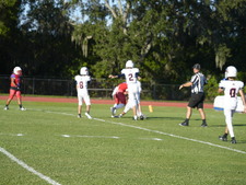 Enlarge photo 99