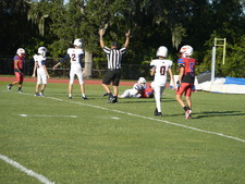 Enlarge photo 105