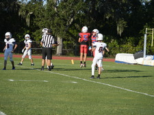 Enlarge photo 111