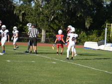 Enlarge photo 113