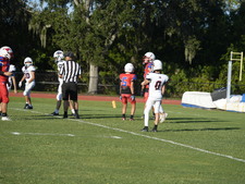 Enlarge photo 116
