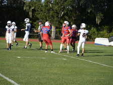 Enlarge photo 115