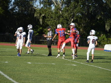 Enlarge photo 122