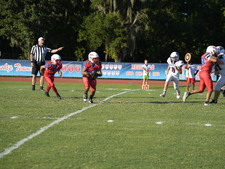 Enlarge photo 135