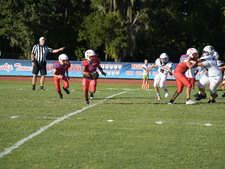 Enlarge photo 137