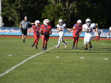 Enlarge photo 145