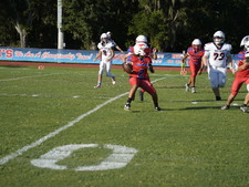 Enlarge photo 148