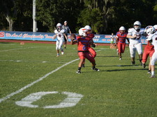 Enlarge photo 147
