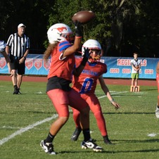Enlarge photo 149