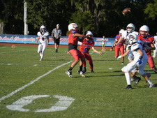 Enlarge photo 151