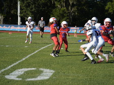 Enlarge photo 152