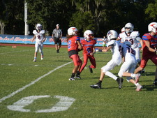 Enlarge photo 153