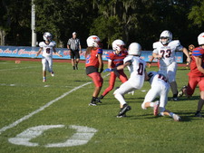 Enlarge photo 155