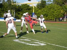 Enlarge photo 156