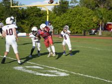 Enlarge photo 157