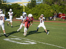 Enlarge photo 161