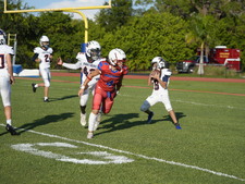 Enlarge photo 163