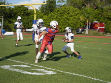 Enlarge photo 162