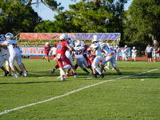 Enlarge photo 197