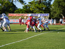 Enlarge photo 198
