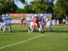 Enlarge photo 199