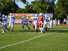 Enlarge photo 201