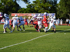 Enlarge photo 203