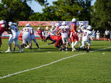 Enlarge photo 204
