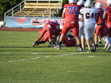 Enlarge photo 207