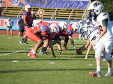 Enlarge photo 214