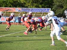 Enlarge photo 217